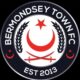 Bermondsey Town FC