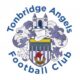 Tonbridge Angels FC club badge