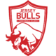 Jersey Bulls FC club badge