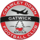 Crawley Down Gatwick FC club badge